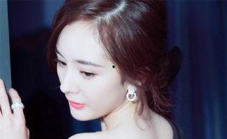 明星网红月饼推荐哪款,月饼界热门爆款盘点