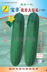 漯河吊瓜今日价格行情,涨跌波动，市场动态一览