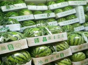 美都919今日瓜价,今日瓜市行情一览