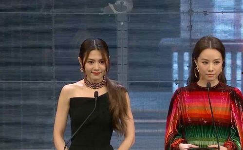 明星网红穿搭测评视频,明星同款解析与时尚点评